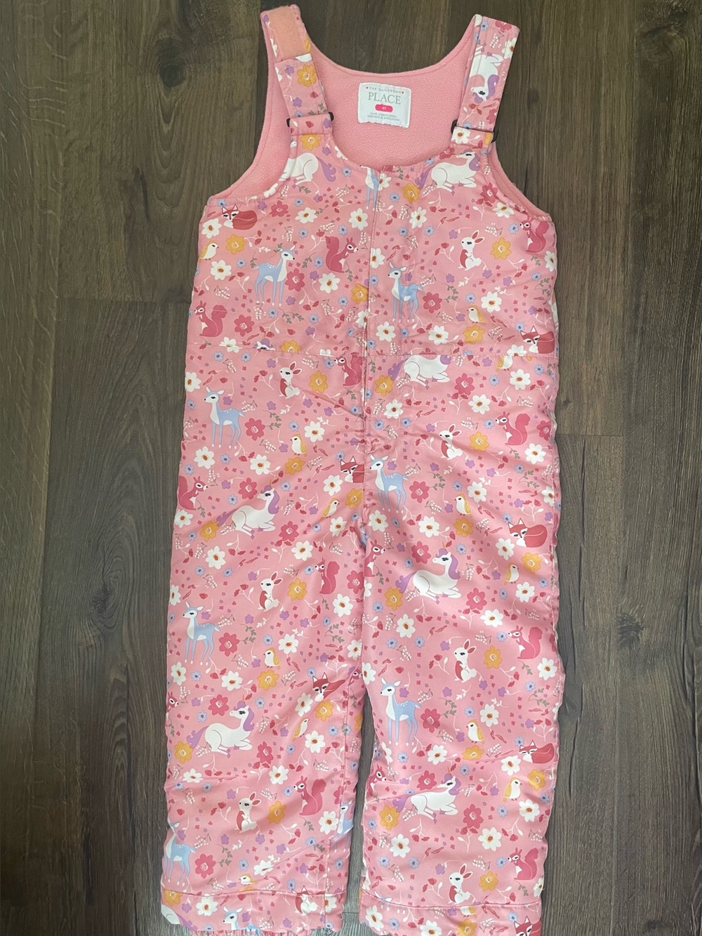 The Children’s Place Snow Bib Overalls (4T Girls)
